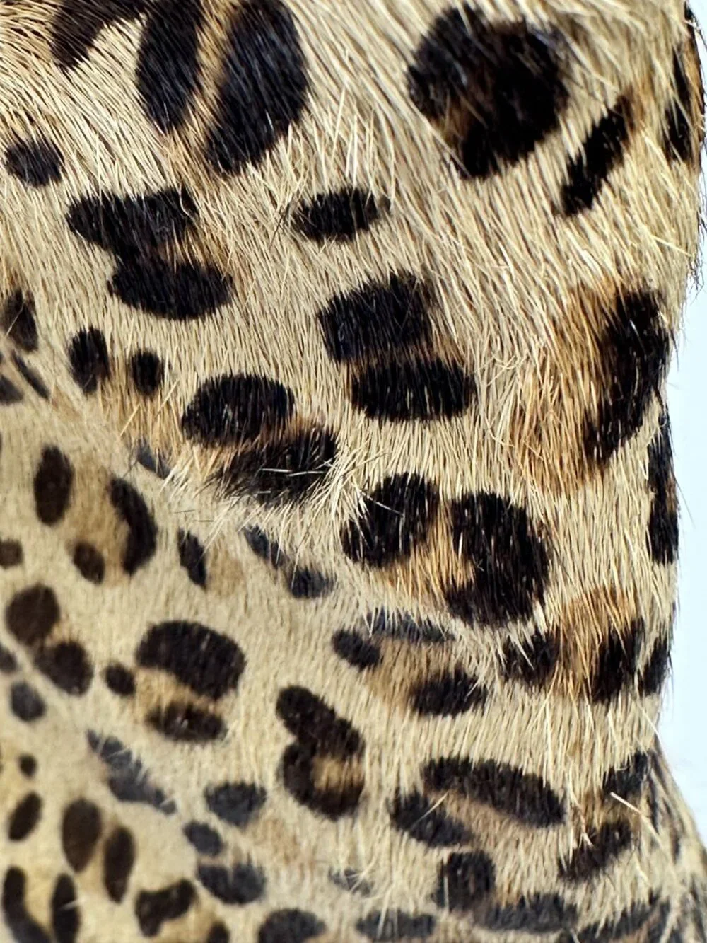 Rockport Leopard Calf Hair Leather Wedge Ankle Boots Size 9